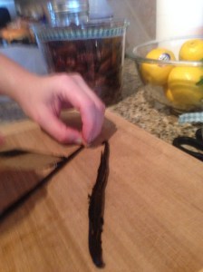Splitting the Vanilla Bean